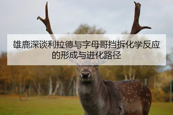 雄鹿深谈利拉德与字母哥挡拆化学反应的形成与进化路径