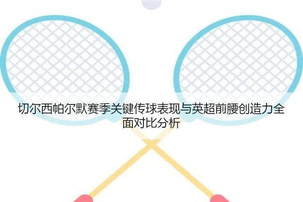 切尔西帕尔默赛季关键传球表现与英超前腰创造力全面对比分析