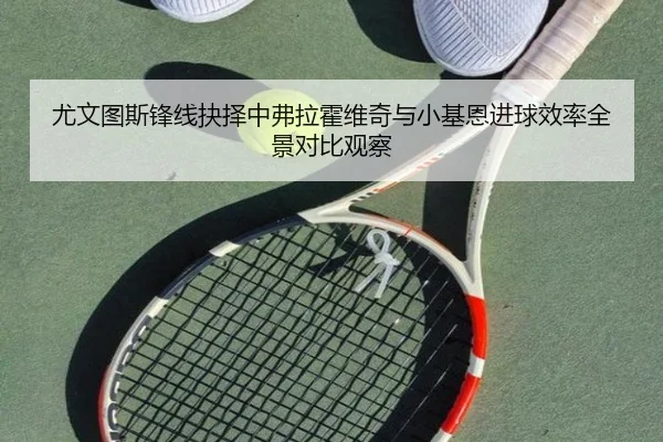 尤文图斯锋线抉择中弗拉霍维奇与小基恩进球效率全景对比观察